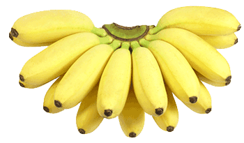 Wholesale Ducasse Bananas Sydney NSW