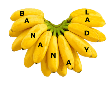 Wholesale Sugar Bananas Sydney NSW